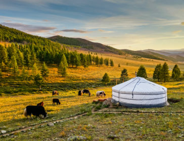 One week in Mongolia with kids