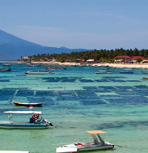 Nusa Lembongan Beach