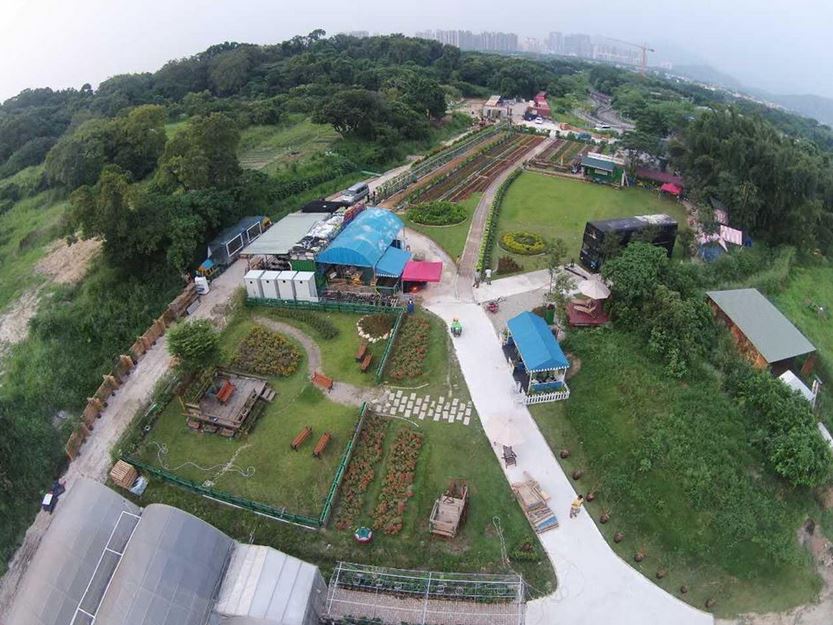 New Farm In Yuen Long - 448 Farm - Hong Kong - Little Steps Asia