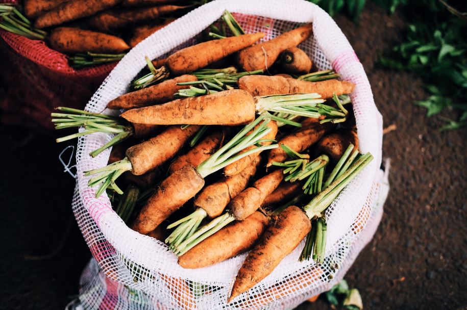 organic vegetable delivery singapore