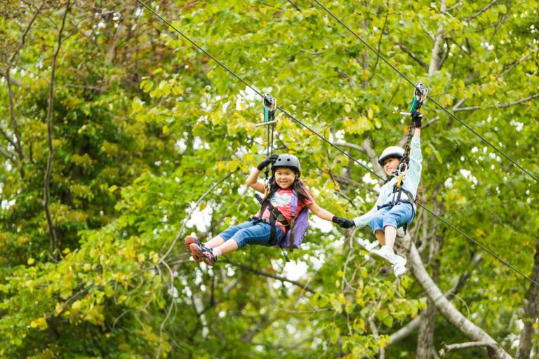 Kids Ziplining At PURE Adventure Park In Niseko, Japan