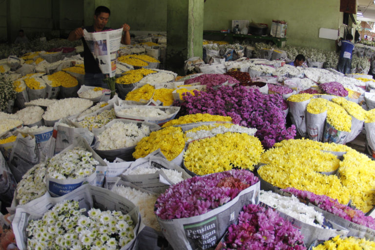 Pasar Bunga Rawa Belong: Flower Markets In Jakarta