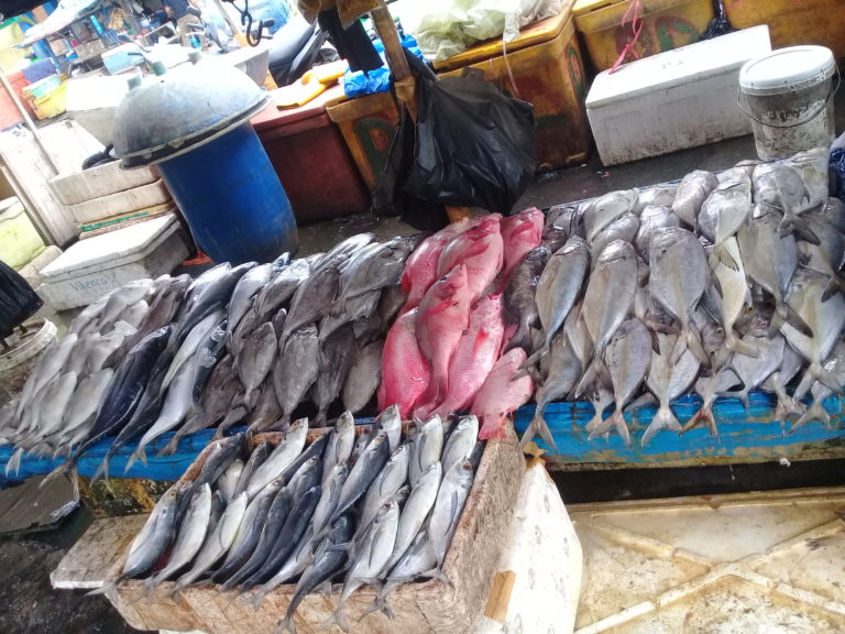 Pasar Ikan Muara Angke: Fish Market In Jakarta