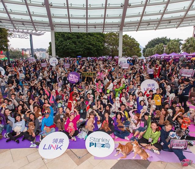 Paws By The Sea At Stanley Plaza - Hong Kong - Little Steps Asia