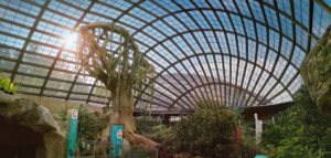 Penang With Kids – Ultimate Guide For Families