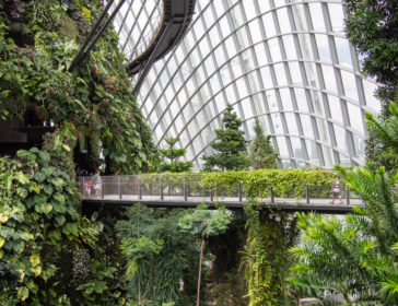 Indoor activities for kids and toddlers in Singapore