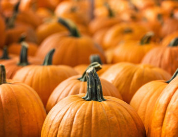 Where To Buy Halloween Pumpkins In Singapore For Carving?