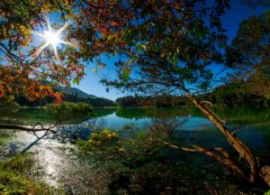 Guide To Family-Friendly Puncak In Indonesia