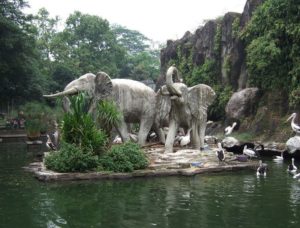 A Visit To Ragunan Zoo In Jakarta With Kids