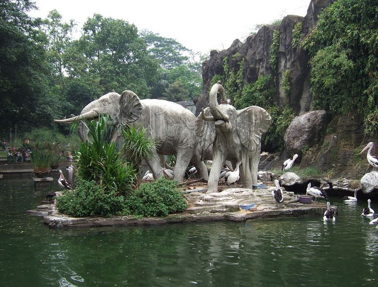 Ragunan Zoo - Jakarta - Little Steps Asia