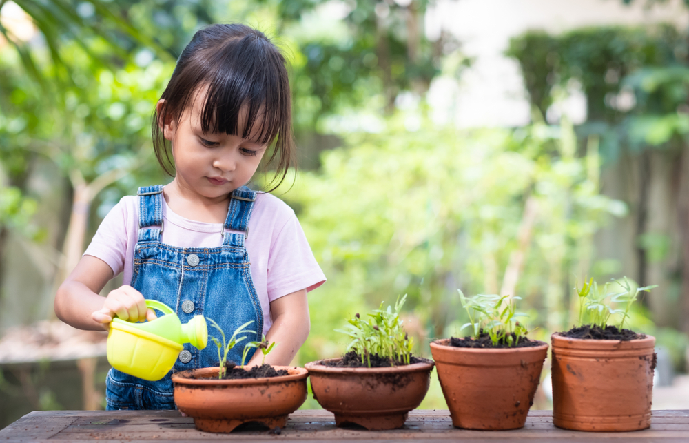 Best Reggio Emilia Schools in Singapore