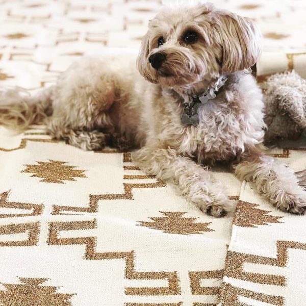 Dog On A Carpet From Ruby Slippers Singapore