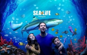 SEA LIFE Aquarium Opens In Malaysia