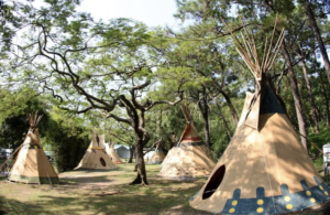 Sai Yuen Farm in Cheung Chau Hong Kong - Teepee Camping