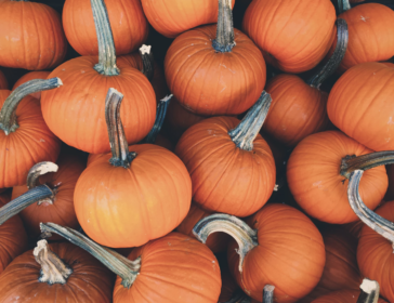 Pumpkin Festival At HKIS
