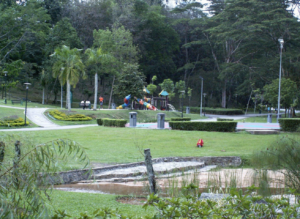 Family Hiking Trails At TTDI Park In Kuala Lumpur