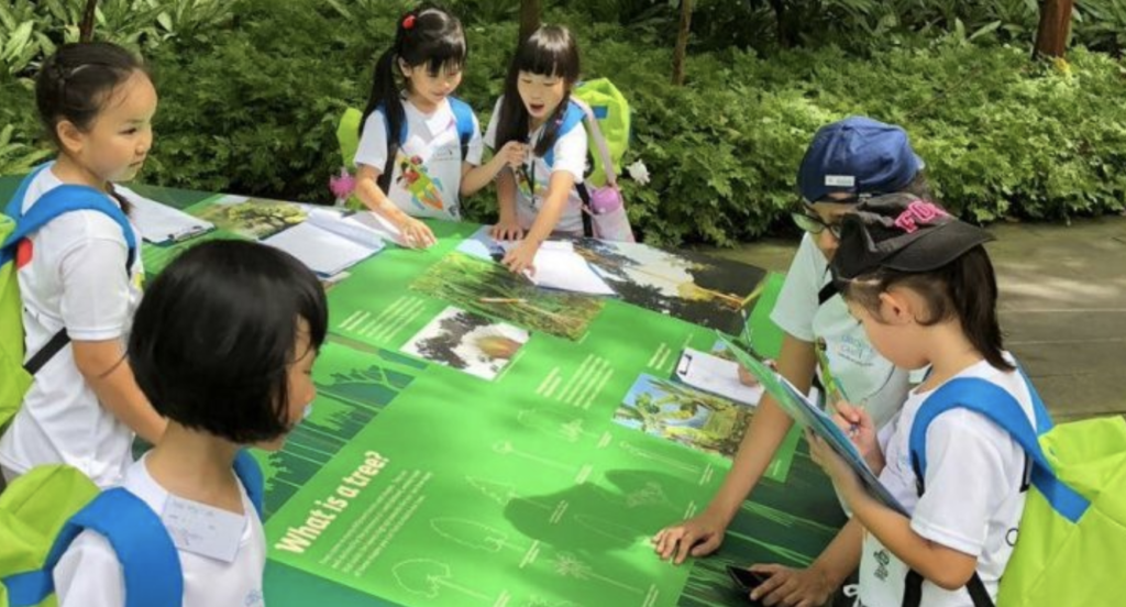 Discovery Camps for kids in Singapore