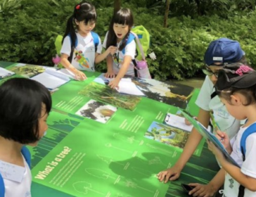 Discovery Camps Summer Season For Kids