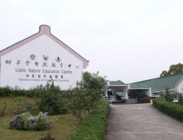 Visiting Lions Nature Education Centre In Sai Kung With Kids