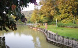 Easy Bukit Kiara Hiking Trail With Kids In Kuala Lumpur