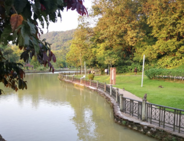 Easy Bukit Kiara Hiking Trail With Kids In Kuala Lumpur