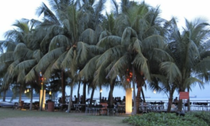 Family Dining At Belly View Café At NSRCC