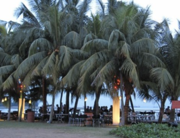 Family Dining At Belly View Café At NSRCC