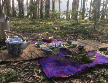 Mothers Day Nature Walk In Hong Kong