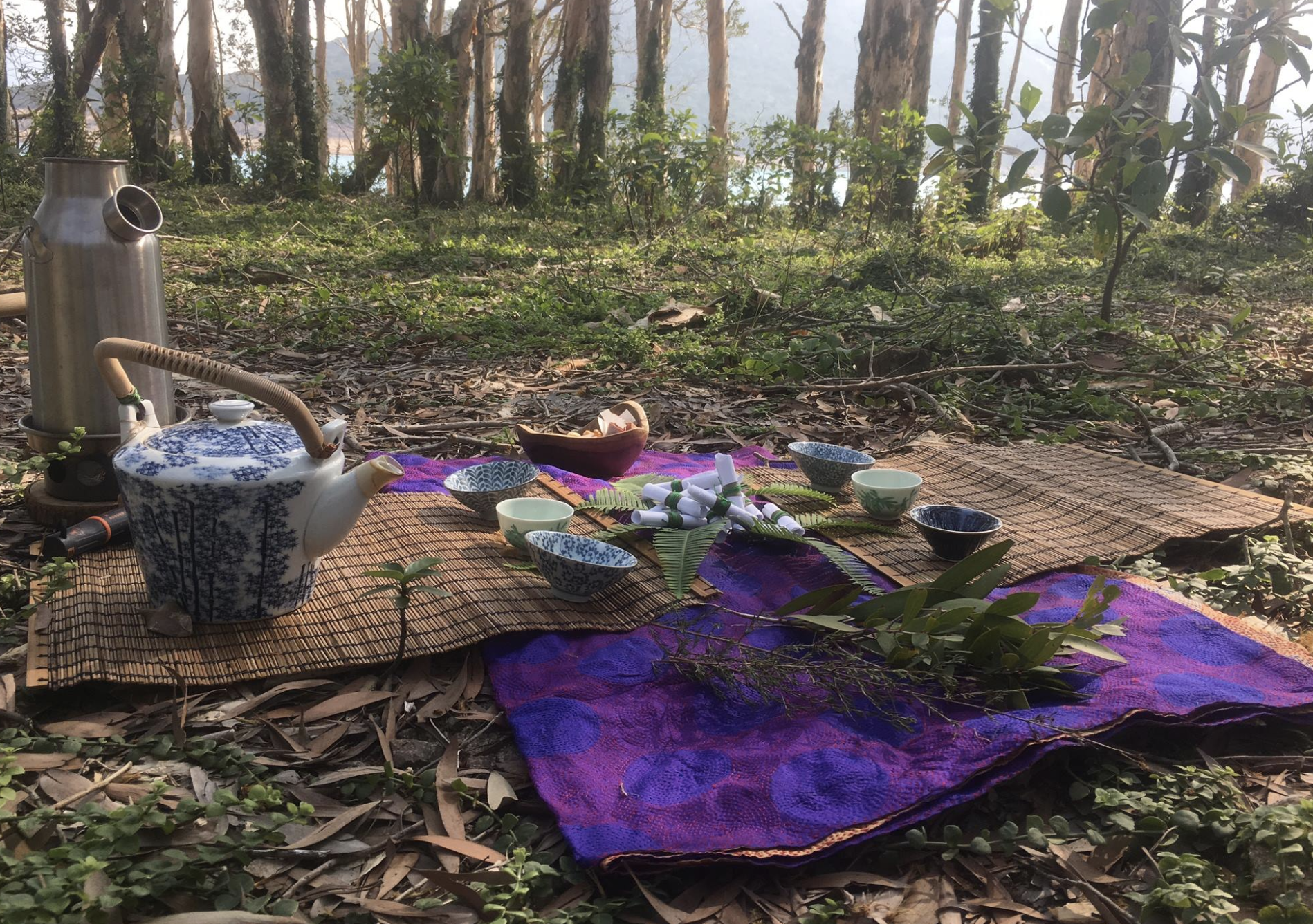 tea ceremony nature walk in Hong Kong