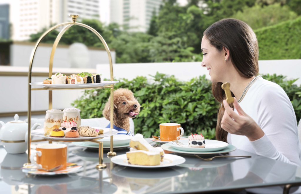 Dog Friendly Afternoon Tea at the Murray Hotel