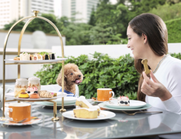 Dog Friendly Afternoon Tea At The Murray Hotel