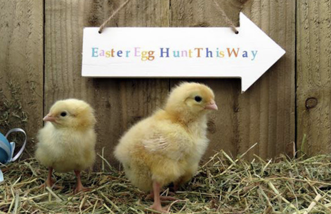 FRITES Easter Hunt and Lunch in Hong Kong