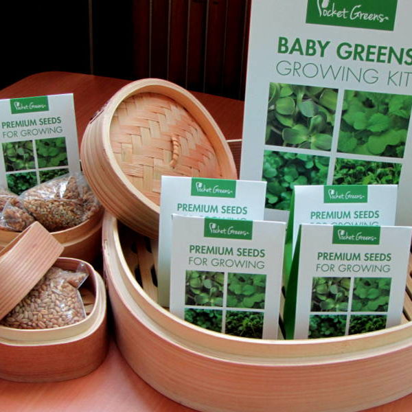 Seedling Gifts From Easigarden For Teachers In Singapore