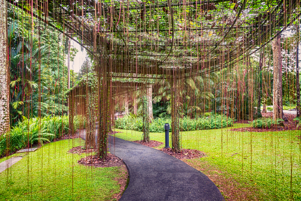 Singapore Botanic Garden In Singapore