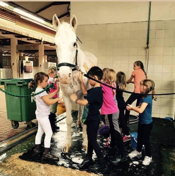 Children Playing With A Horse At Singapore Polo Club