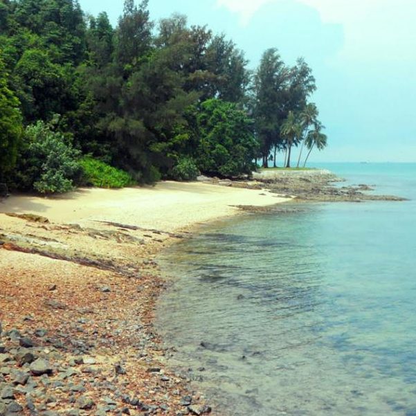 Shoreline Of Sisters Island Singapore