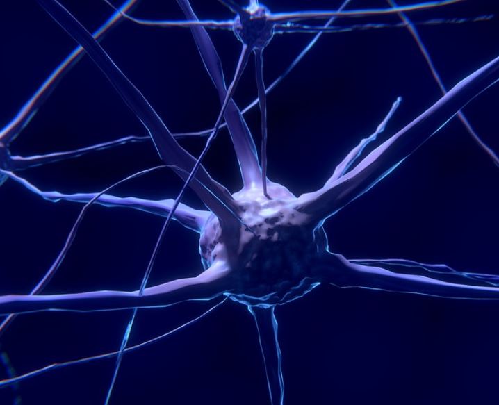 Sports Injuries - Types Of Injuries - Nerve