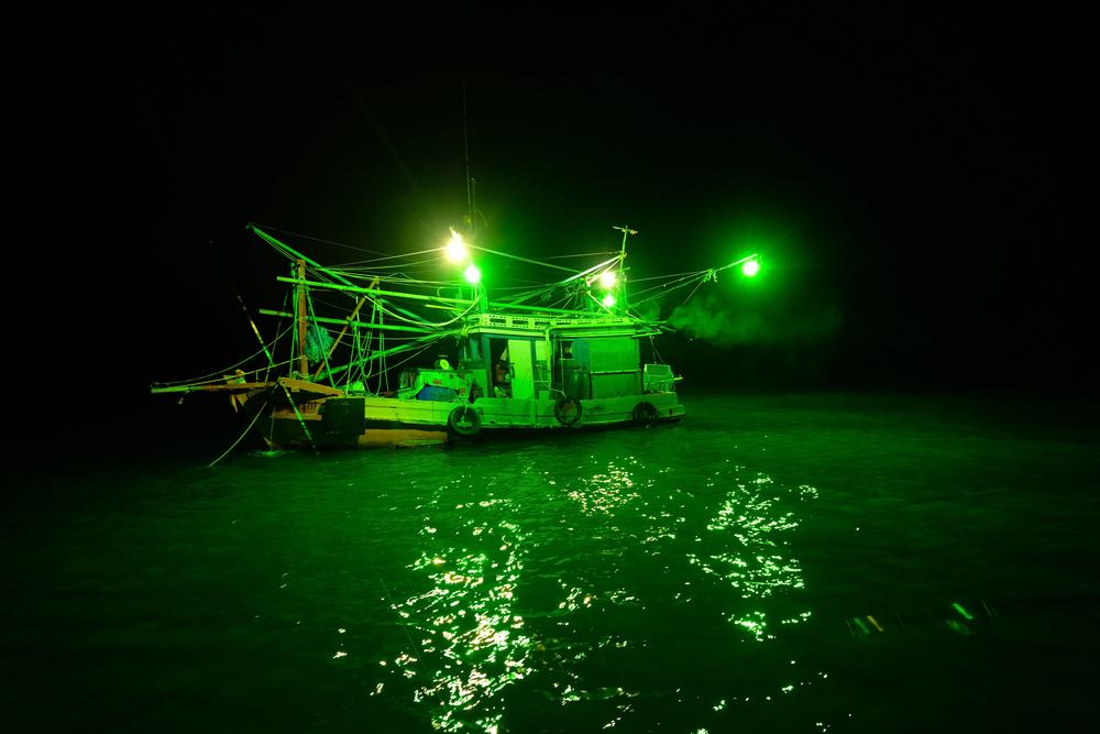 Squid fishing season in Hong Kong