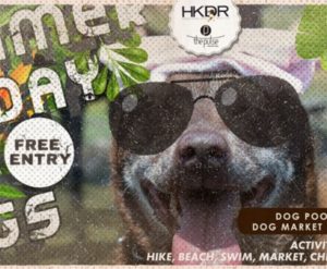 Summer Funday for Dogs In Hong Kong