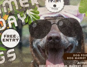 Summer Funday for Dogs In Hong Kong