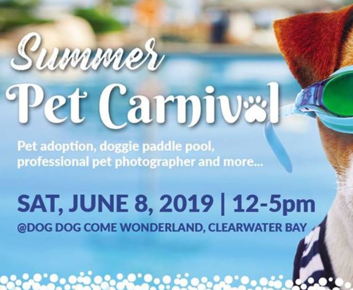 Summer Pet Carnival Hong Kong - Hong Kong - Little Steps Asia