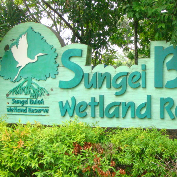 Sungei Buloh Wetland Reserve