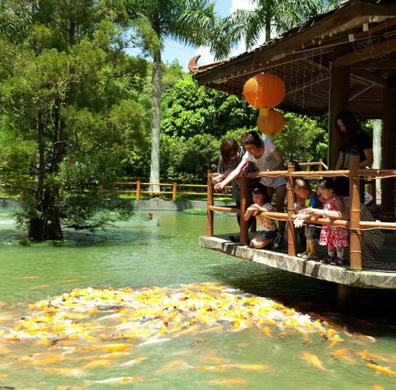 Tai Tong Organic Ecopark, Hong Kong