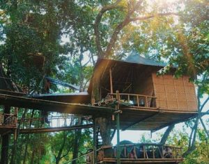 Temega Tree House In Bali