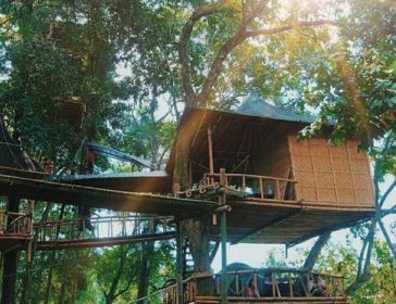 Temega Tree House In Bali