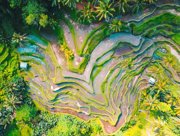 Top 10 Bali Attractions - Featured