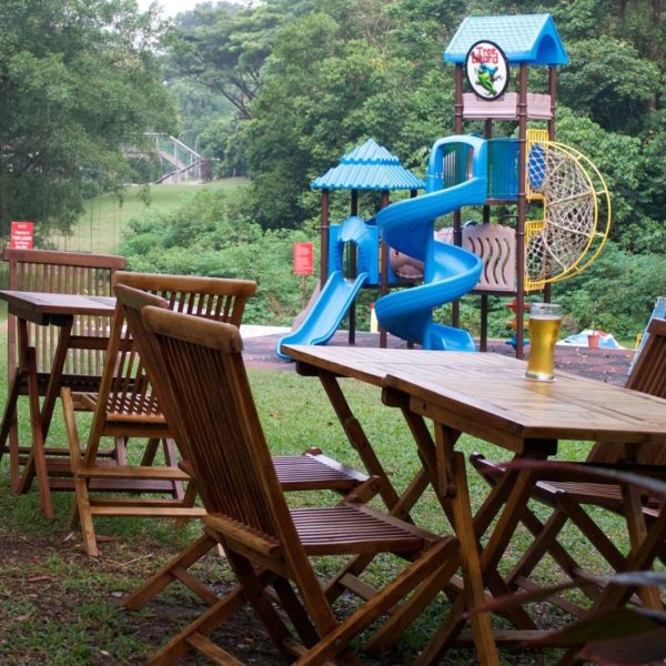 Outdoor Play Area Of Tree Lizard Singapore