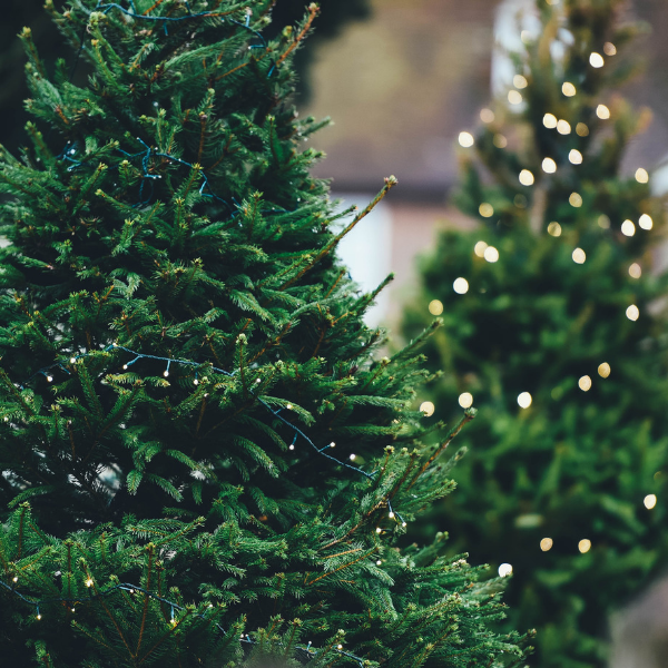 cheap artificial christmas trees