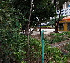 Urban Oasis, Hong Kong