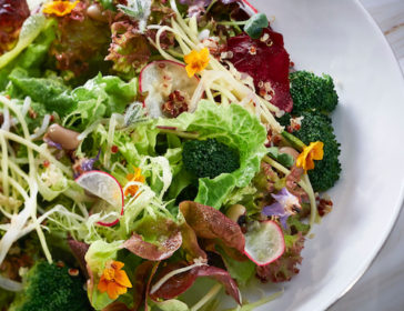 Veggie Macau For Vegetarian Food
